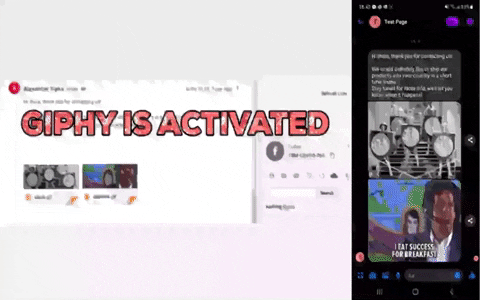 LiveAgent 的 GIF 示例
