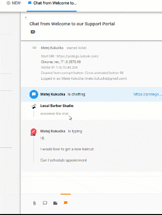 实时输入查看功能