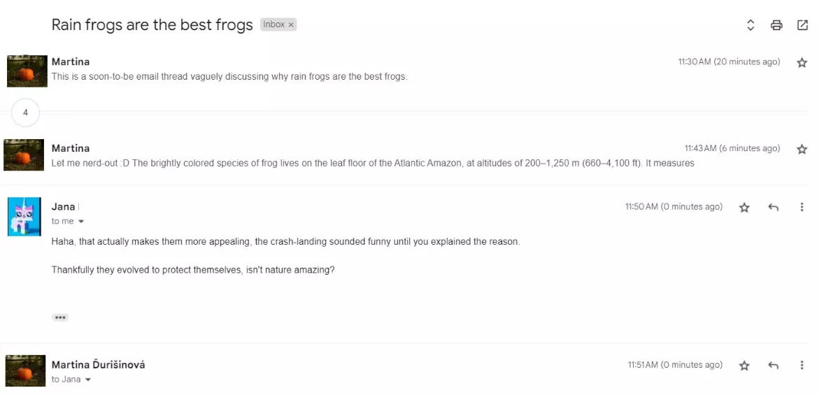 一个由多条消息组成的电子邮件线程，讨论相同的主题。