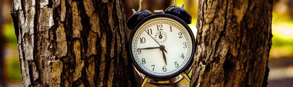 如何在2025年提供最佳实时客户支持