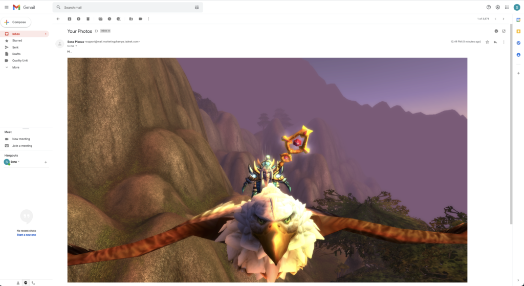 Example of inline pasted image in email