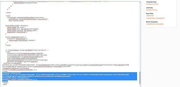 Live chat button placed into the body of the Volusion e-shop