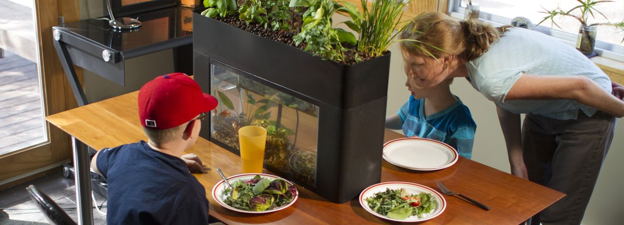 AquaSprouts可持续发展