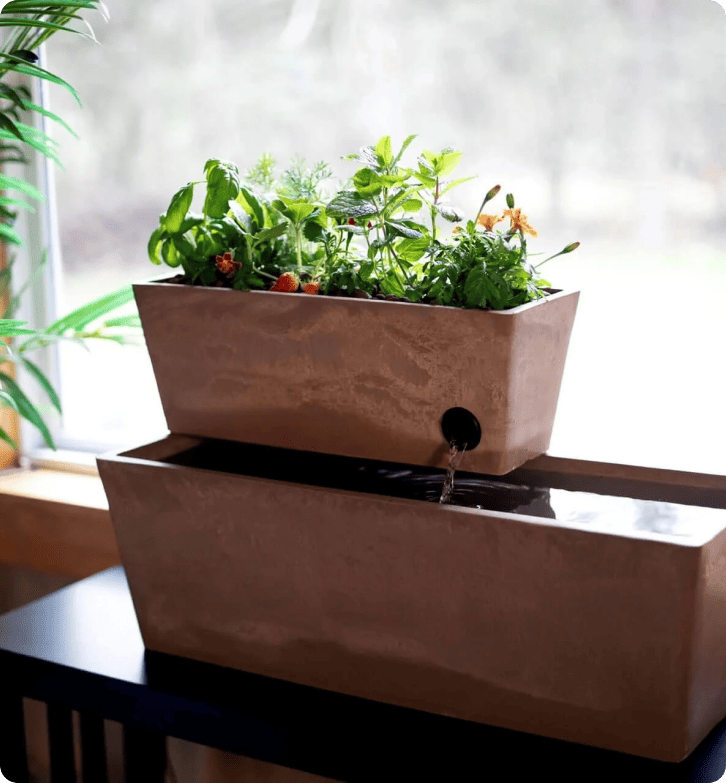 AquaSprouts如何通过LiveAgent实现96.5%的客户满意度