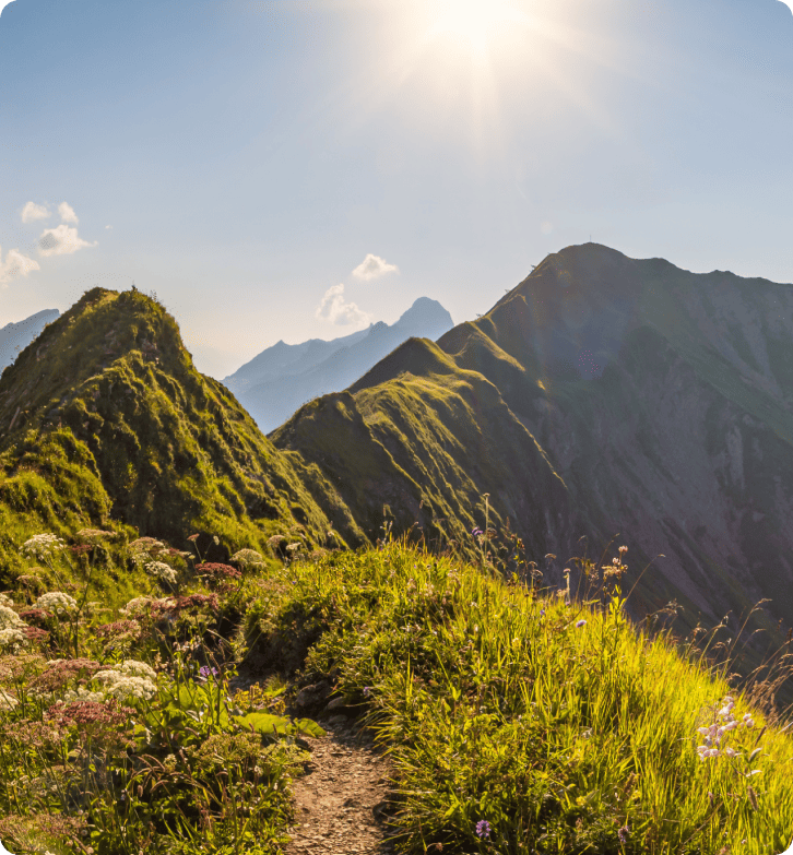 ZlavaDna 如何通过 LiveAgent 改善客户支持