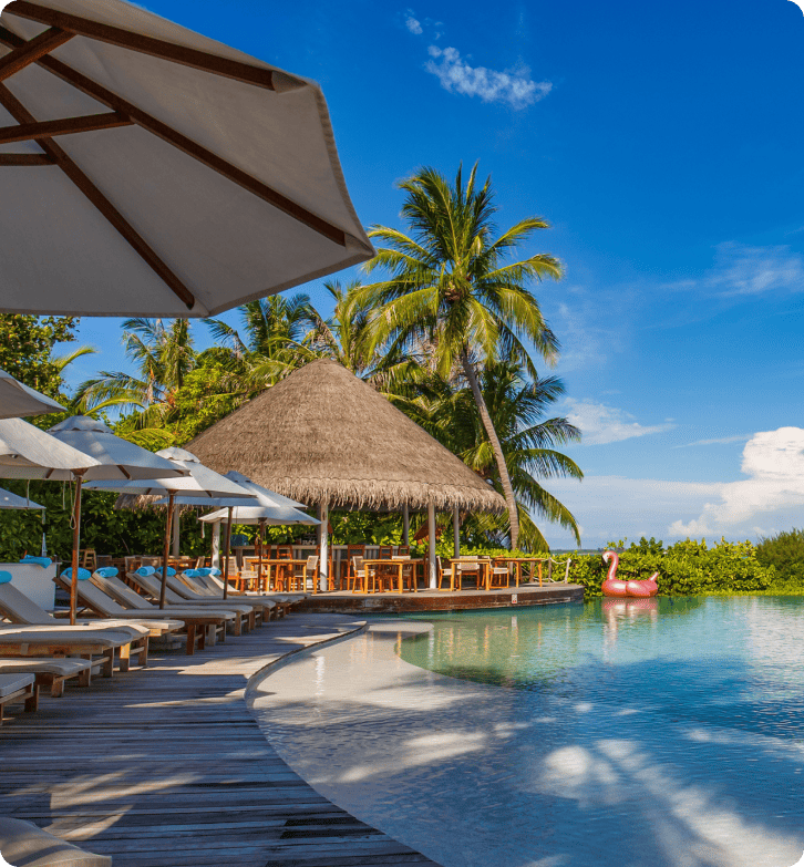 Satur - 与LiveAgent一起100年的难忘旅行